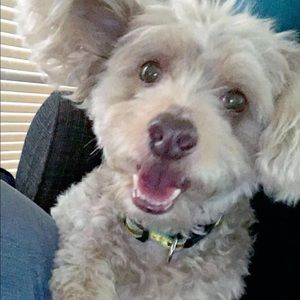 Meet your Posher, Micole